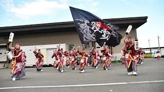 躍動┃漁港の駅TOTOKO小田原５周年記念イベント（２回目）