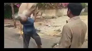 🐫Camel hit a man| 😜camel ne qasai ko hi zibah kr dala