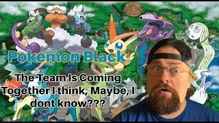 Pokemon Black First Time Play Through got 1st badge not where to...