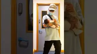Bars and Melody Charlie Lenehan Dancing  with His Daughter