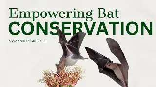 Empowering Bat Conservation