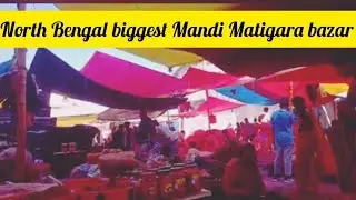 Matigara Bazaar | North Bengal Biggest Mandi | #travelvlog #siliguri #bazaar