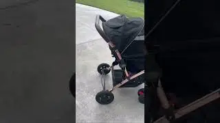 HPZ Pet Rover XL Stroller Review | Premium Pet Carriage 🚗