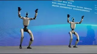 Humanoid robots and robot dogs bring sci-fi excitement to 2025 Tengchong Scientists Forum