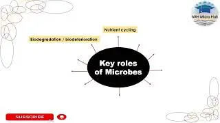 key role of microbes in our lives|environment|nature|ecosystem|ARH Micro Hub|Shorts#