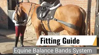 How to Fit Equine Balance Bands Video