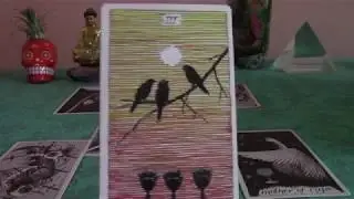 Taurus Mid-October 2018 Tarot Update: Full Moon in Your Sign & Letting Your Hair Down to CELEBRATE!