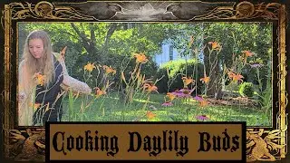 Cooking Daylily Buds - Daylily Stir-fry - Kitchen Witchcraft and Herbalism