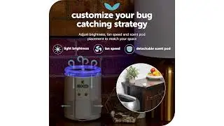 Reviewing the Katchy Duo Indoor Insect Trap: Does It Really Work?
