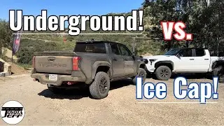 2024 Tacoma TRD Pro - Underground vs Super White!