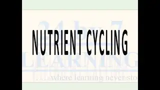Nutrient Cycling | Ecosystem | Grade 12 | Biology | 24by7learning.com
