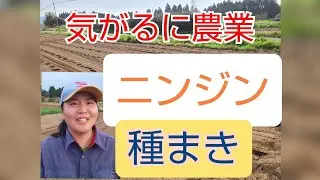 【人参】植え方(シーダーテープ)2021年3月17日【にんじん】【野菜】