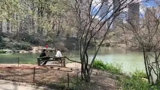 Leisure Vibes Music Video: Outdoor Fun, People of All Ages Having a Wonderful Leisure Time