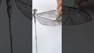 Drawing a dragonfly with pen and ink ✨ #drawing #howtodraw #inktober