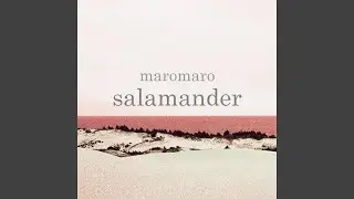 salamander