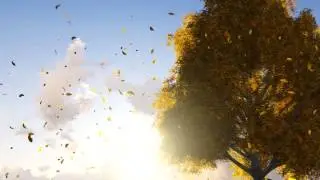 The Lonely Tree - De 3D ontwerper