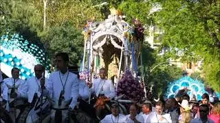 MI PRIMAVERA ROC&Iacute;O - ONUBA