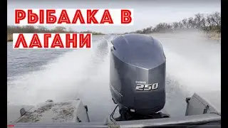 Рыбалка в Лагани.