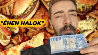 T&uacute;l&eacute;ltem 1 Napot 1000 Forintb&oacute;l!