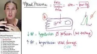 Blood Pressure 1- Intro