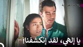 بوراك وأصلي خلف الستار -  رائحة الفراولة
