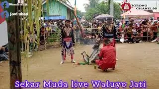 SENI TARI KIJING MIRING.. JORONGAN.. SEKAR MUDA.