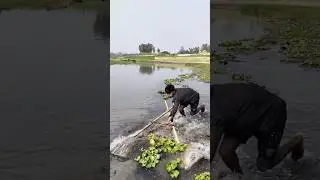 Amazing fishing, timeless skill #handfish