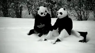 Quad H -Robot Panda (2024 Mix)