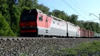 Синары на вечернем перегоне