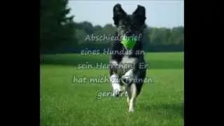 Abschiedsbrief eines Hundes an sein Herrchen