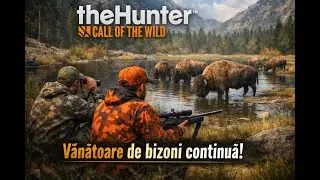 Vanatoarea de bizoni continua