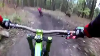 Go-Pro Bike Cam Shows Bear Chasing Cyclist *MAY 2017