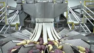 Small Potatoes: How Mini, Small and Fingerling Potatoes Are Grown and Processed in California