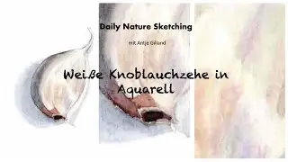Daily Nature Sketching - Weiße Knoblauchzehe in Aquarell
