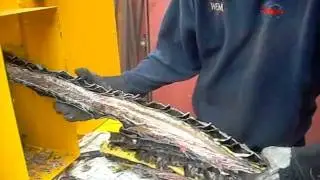 Superstripper 300