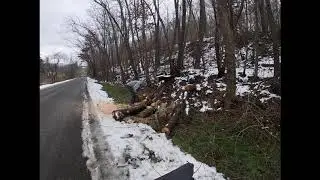 Roadside Firewood Score