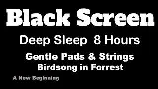 Black Screen Sleep Music ｜ Dawn of Renewal &ndash; 8 Hours
