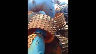 Debarking line CAMBIO 45