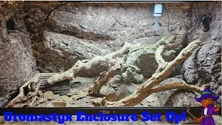 How to Set Up a Uromastyx Enclosure! Uromastyx Enclosure Set Up and Build Step by Step