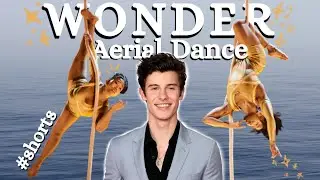 Aerial Dance Choreo Shawn Mendes Wonder #shorts