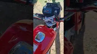 Suzuki ax100 - Vueltita del S&aacute;bado 03-01-2026 #Ax100