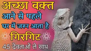 गिरगिट का घर में आना शुभ या अशुभ । girgit ka ghar mein aana. girgit ka Ghar mein aana kaisa hota hai
