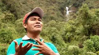 TOURS SELVA CENTRAL ➡ TOURS A LA SELVA CENTRAL DESDE LIMA ➡ TOURS DE HUANCAYO A LA SELVA CENTRAL