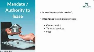 Property Pulse 19 Mar 2025: Rental Mandate Unpacked &ndash; Ensuring Compliance & Preventing Disputes