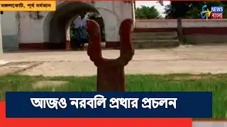 আমার বাংলা | মঙ্গলকোটের ক্ষীরগ্রামে আজও হয়  নর রক্তে দেবীর  পুজো