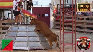 Gelsa. Suelta de Vacas en Plaza | 04/09/2025 | Ganad. Murillo Conde