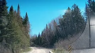 Cruising Logging roads finding Hidden Oasis 🙌 Wild Edibles Blackstone Road