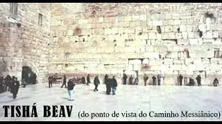 Projeto REINA &ndash; TISH&Aacute; BEAV  (do ponto de vista do Caminho Messi&acirc;nico)