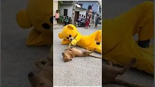 Teddy with Dog😱.......#mrcrazy #teddycomedy #funnyshorts