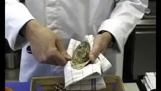 Otev&iacute;r&aacute;n&iacute; &uacute;střic- &scaron;kola vařen&iacute; Julienne